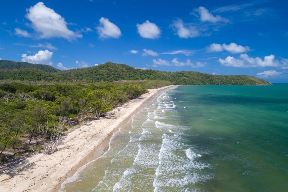 From Port Douglas Daintree And Mossman Gorge Day Tour