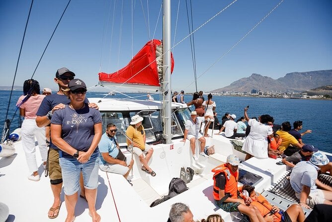 1- Hour Catamaran Cruise Cape Town - Overview of Cruise