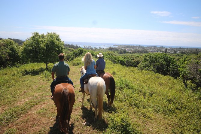 1 Hour Scenic Horseback Ride - About the Horseback Ride