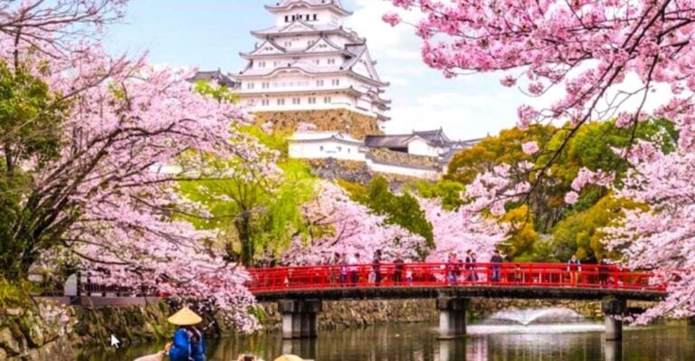 10-Day Private Guided Tour in Japan Moreover 60 Attractions