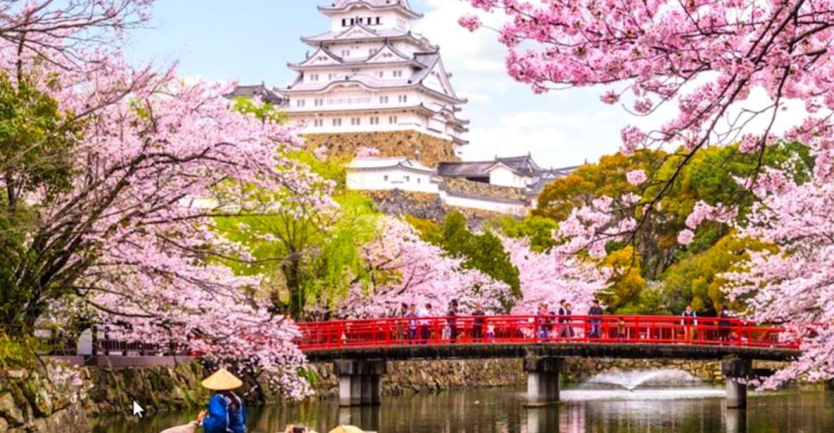 10-Day Private Guided Tour in Japan On top of that 60 Attractions - Tour Details