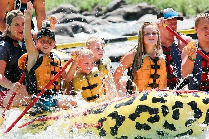 2 Hour Rafting on the Yellowstone River - Activity Details