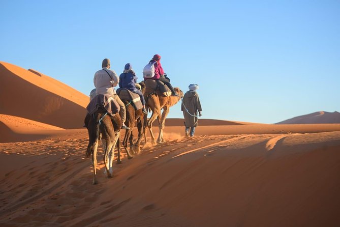 3-Day Luxury/Budget Desert Tour to Marrakech via Merouga From Fez