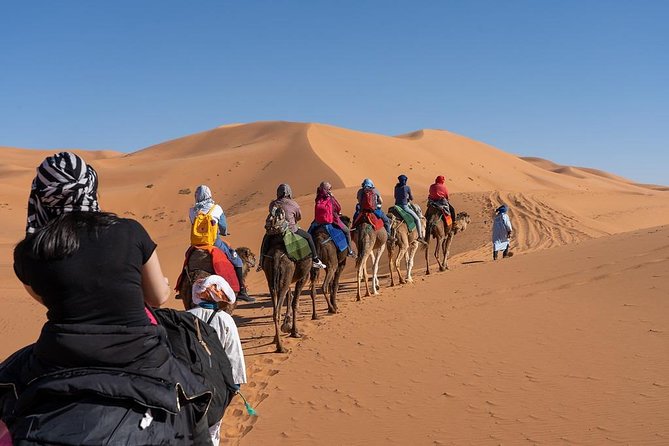 3 Day Marrakech to Fes Desert Tour - Camel Trek - Tour Overview