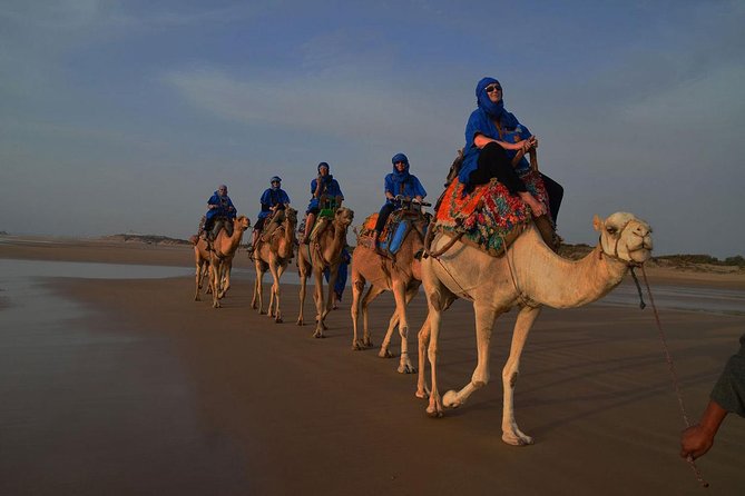 3 Hours Ride on Camel at Sunset - Overview of the Tour