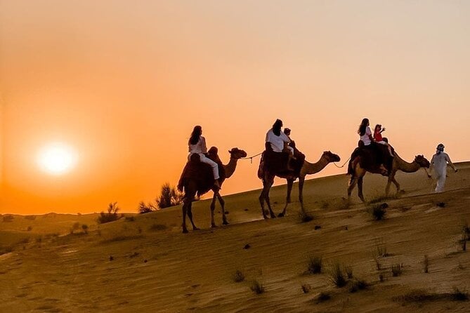 4 Hrs Safari Dune Bashing, Camel Ride,Inland Sea, Pickup Service. - Adventure Highlights