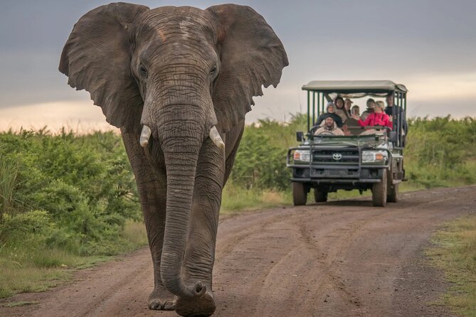 5 Day Garden Route and Addo Safari - Best of South Africa Small Group Tour - Tour Overview