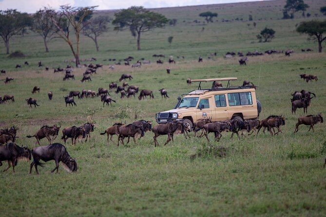 7 Days Magical Northern Tanzania With Roy Safaris - Overview of the Safari