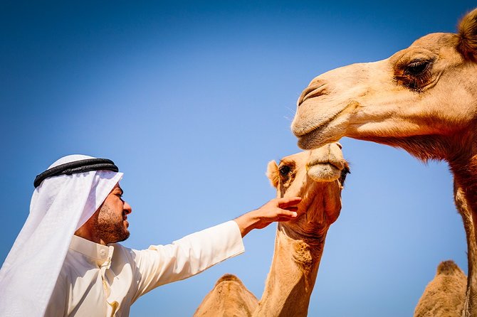 Abu Dhabi: 4-Hour Morning Desert Safari With Camel Ride and Sandboarding - Dune Bashing Experience