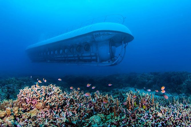 Atlantis Submarine From Kona Beach - Colorful Reefs and Marine Life