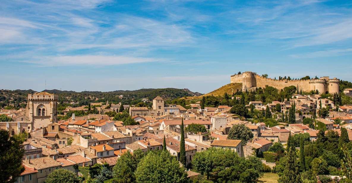 Avignon Private Guided Tour and Wine Tastings From Marseille - Tour Overview