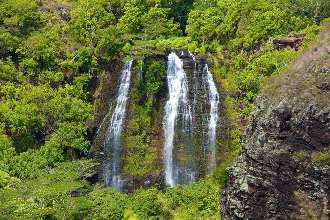 Best of Kauai Tour by Land and River - Exploring Kauais Top Sights