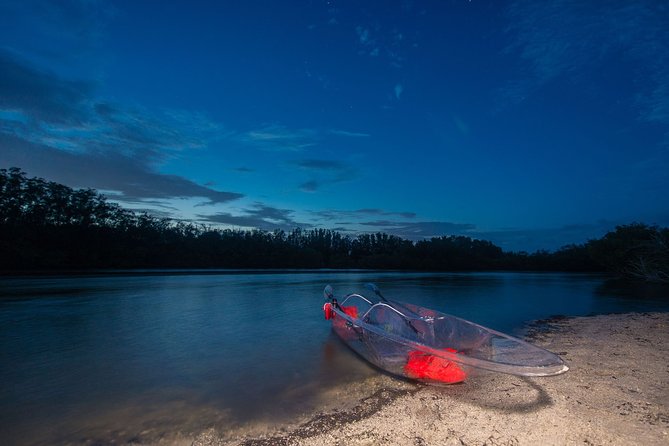 Bioluminescent Clear Kayak Tours in Titusville - Overview of the Tour
