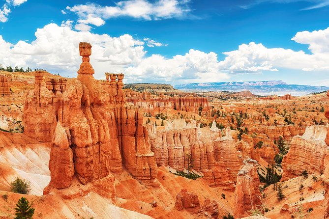 Bryce Canyon and Zion National Parks Small Group Day Tour
