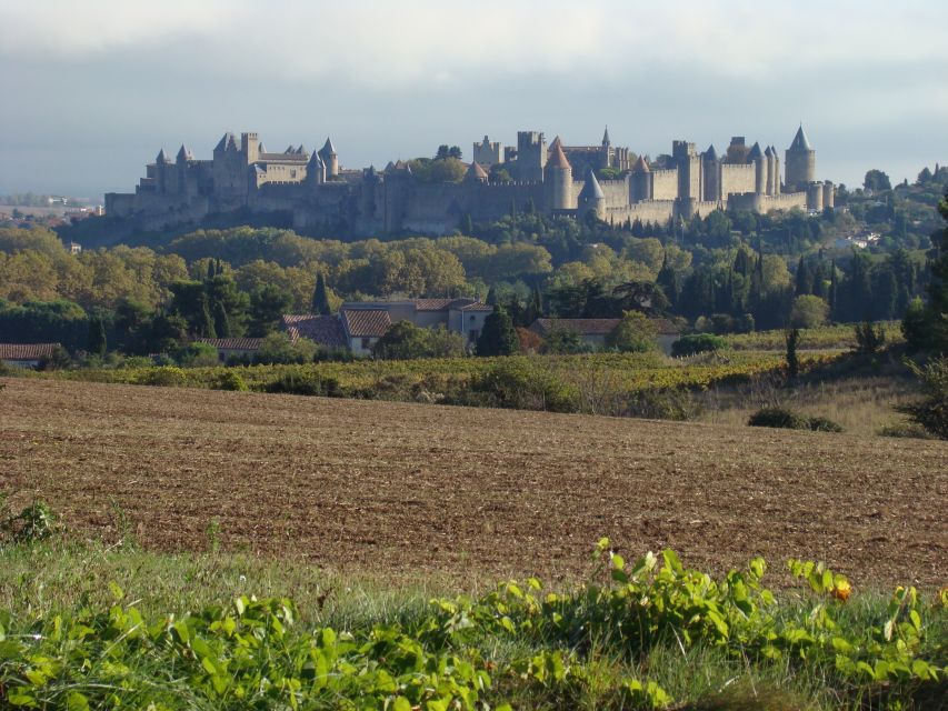 Carcassonne & Cathar Country: Alet Les Bains, Camon, Mirepoix - Tour Details