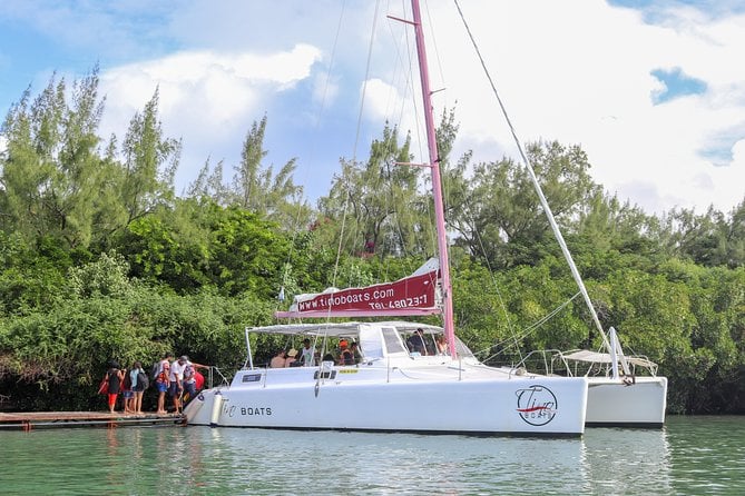 Catamaran Cruise to Ile Aux Cerfs - Overview of the Catamaran Cruise