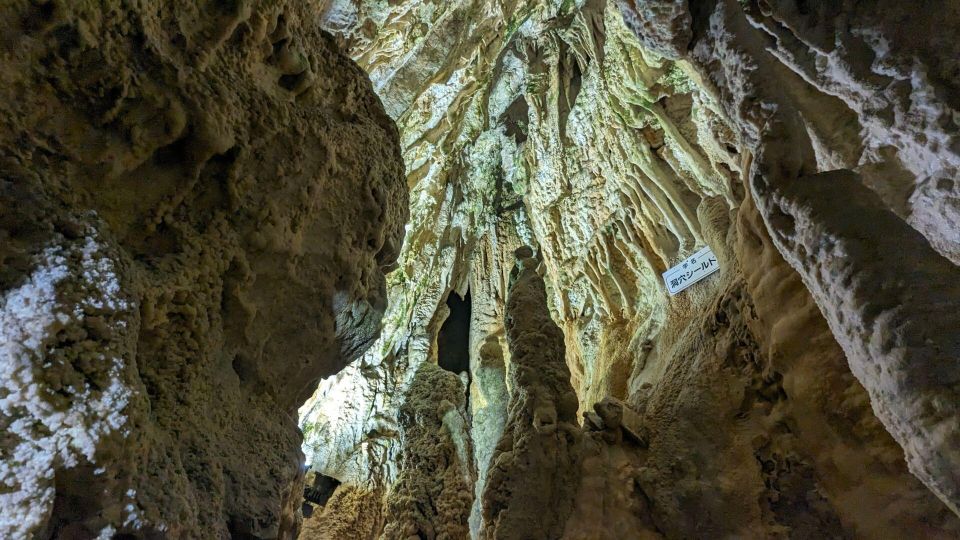 Day Tour: Hida Gems - Limestone Caves and Shinhotaka Ropeway - Hida Great Limestone Cave