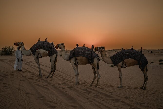 Deluxe Sunset Desert Safari: Sandsurfing, Camel Ride & BBQ Dinner - Activity Inclusions