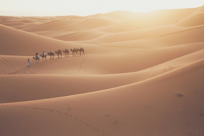 Doha Sunrise Desert Safari Tour| Dune Bashing| Inland Sea Visit| Camel Riding