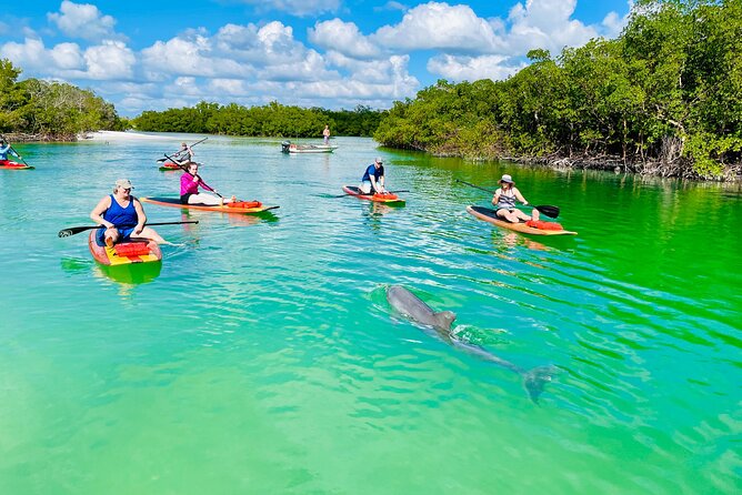 Dolphin and Manatee Adventure Tour of Fort Myers - Location and Duration