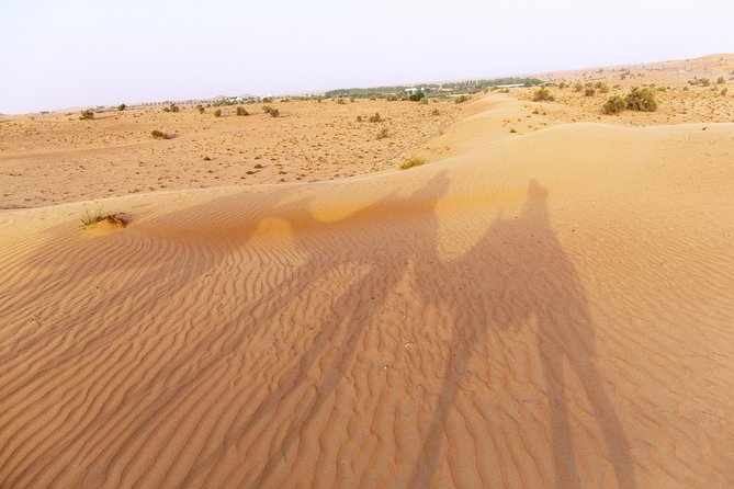 Dubai Camel Desert Safari, Traditional Meal & Heritage Activities - Overview of the Tour