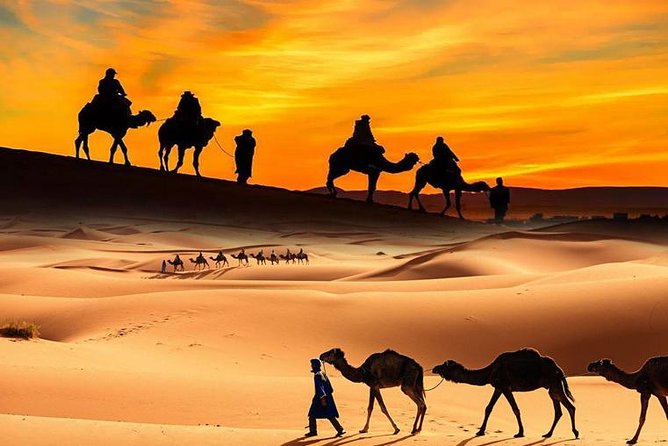 Dubai Desert Safari With Camels, Quadbike, Sandboarding & BBQ
