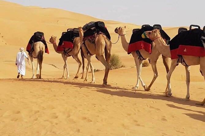 Dubai Evening Desert Safari Tour With Hotel Transfer, Camel Ride and BBQ Dinner