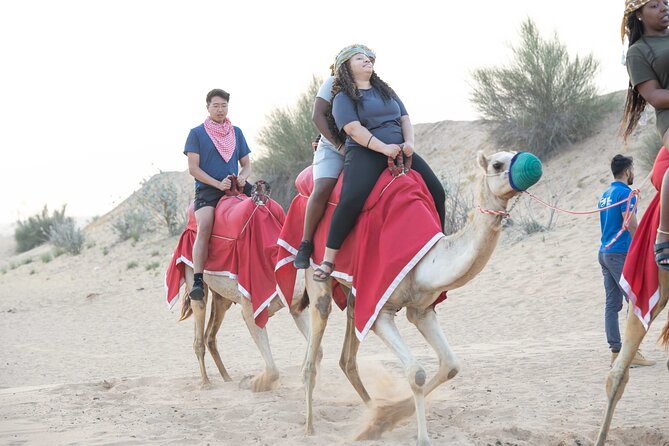 Dubai Half-Day Red Dunes Bashing With Sandboarding, Camel &Falcon - Overview of the Experience