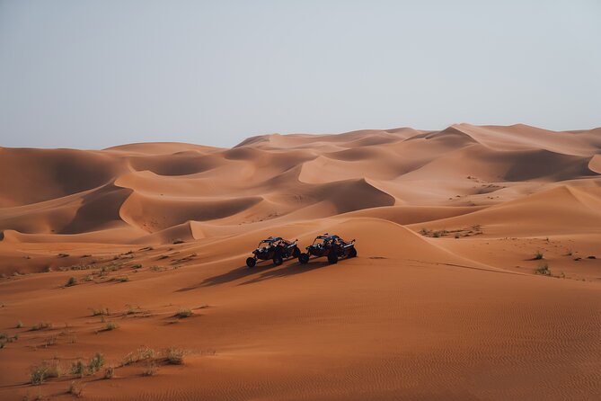 Dune Buggy Experience & Fossil Discovery in Mleiha National Park