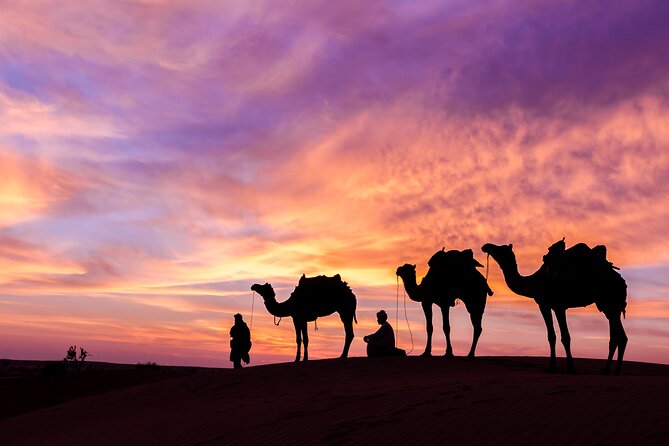 Evening Desert Safari With BBQ Dinner and Live Shows