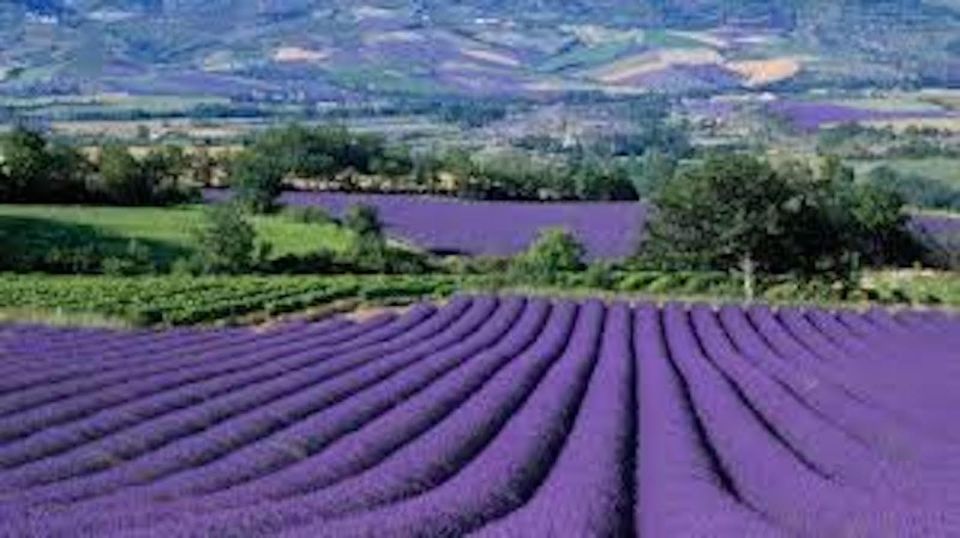 From Nice: Full-Day Provence and Lavender Tour - Tour Duration and Pickup