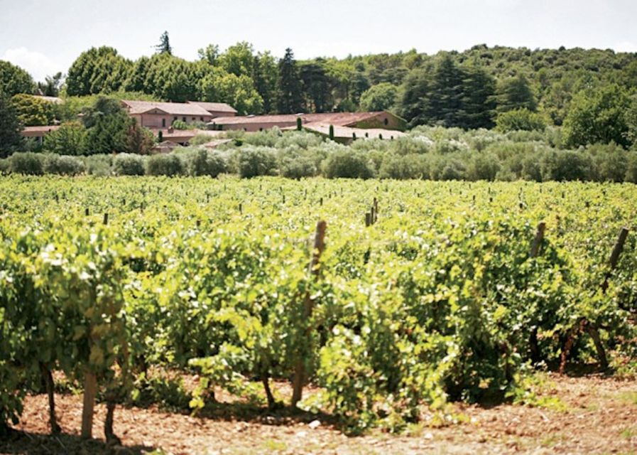 From Nice: Private Provence Wine Tasting Experience - Booking Details
