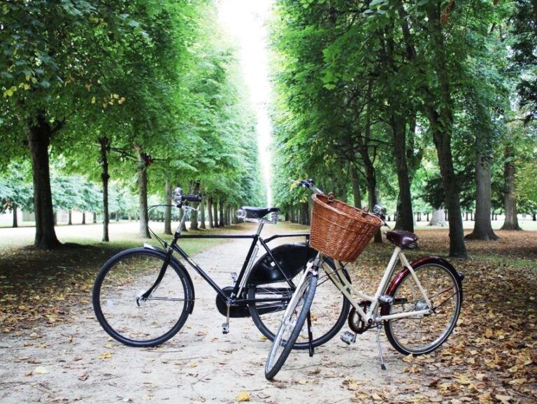 From Paris: Skip-the-Line Palace of Versailles Bike Tour