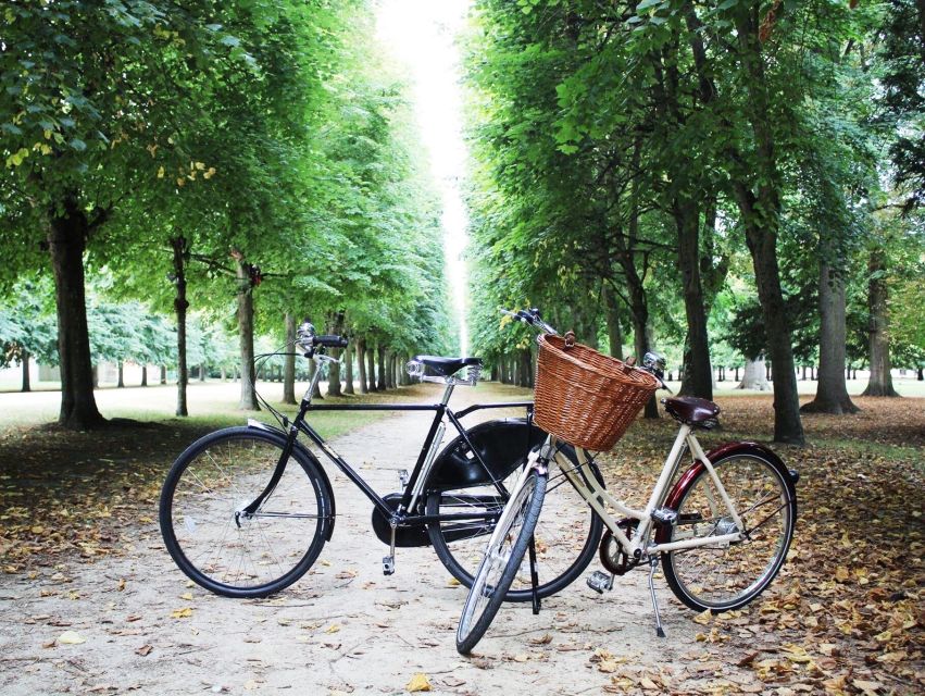 From Paris: Skip-the-Line Palace of Versailles Bike Tour - Tour Overview