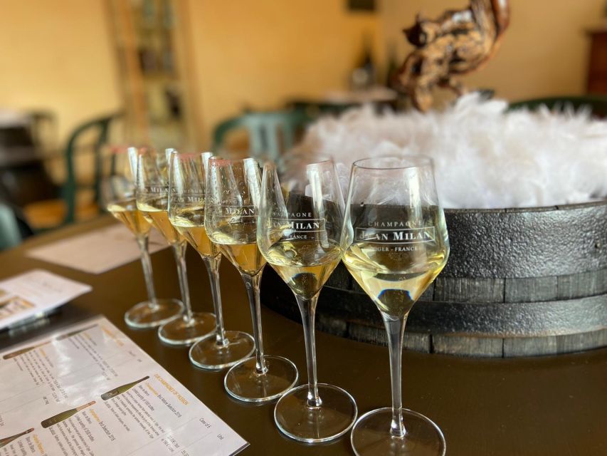 From Reims/Epernay: Private Gold Champagne Tasting Tour - Tour Highlights
