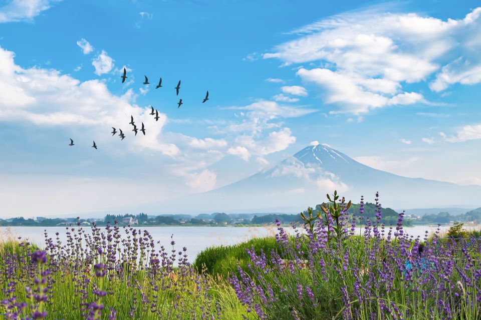 From Tokyo: 1-Day Private Mt. Fuji Tour by Car - Tour Details