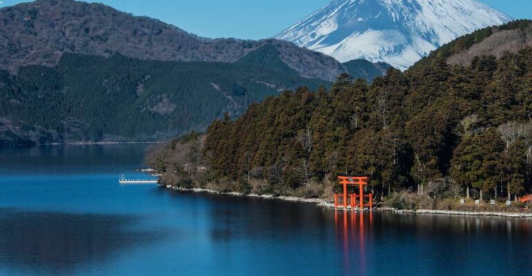 From Tokyo: Hakone Private Sightseeing Day Trip