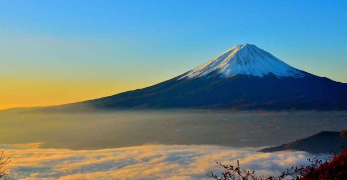 From Tokyo: Mount Fuji Full-Day Private Customized Tour - Tour Overview