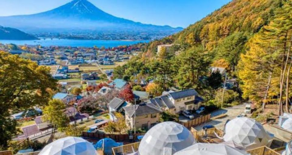 From Tokyo MT Fuji Fully Customize Tour With English Driver - Tour Overview