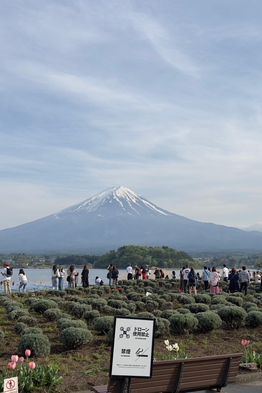 From Tokyo: Mt. Fuji Highlights Customizable Private Tour