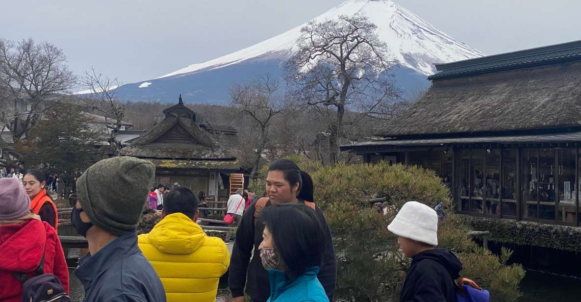 From Tokyo: Mt. Fuji Private Guided Day Tour English Guide - Panoramic Vistas of Mt. Fuji
