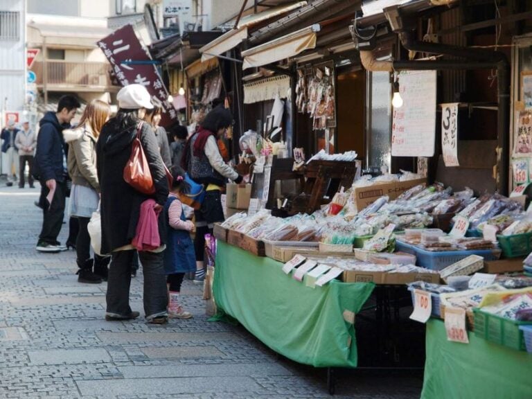 From Tokyo: Private Historical Day Trip to Kawagoe