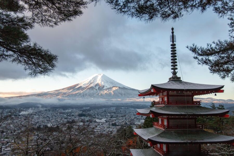 From Tokyo: Private Mount Fuji and Hakone Day Trip - Tour Details