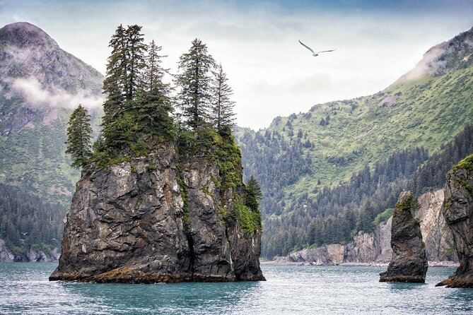 Full-Day Kenai Fjords National Park Cruise - Tour Details