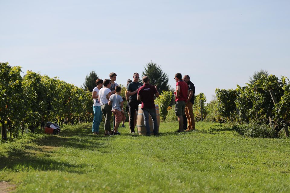 Full Day Wine Tour With Lunch at the Winery: Vouvray & Chinon - Tour Overview