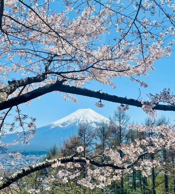 Full Guided One Day Trip for Mount Fuji Japan