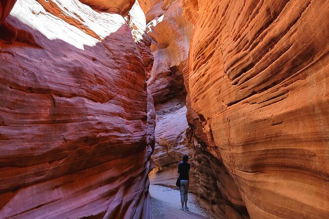 Great Chamber/Peekaboo Slot Canyon UTV Tour 4hrs - Overview of the Tour