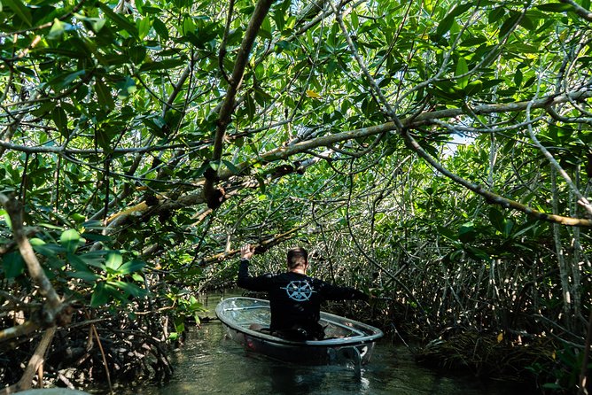 Guided Clear Kayak Eco-Tour Near Key West - Sights and Wildlife Spotting