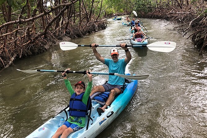Guided Kayak Mangrove Ecotour in Rookery Bay Reserve, Naples - Inclusions