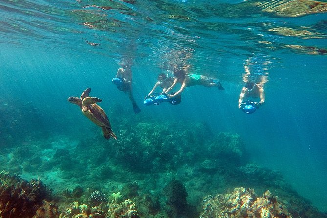 Guided Sea Scooter Snorkeling Tour Wailea Beach - Tour Overview